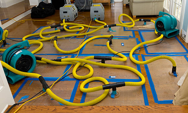 Professional Sewage Cleanup technician working in Southport, NC